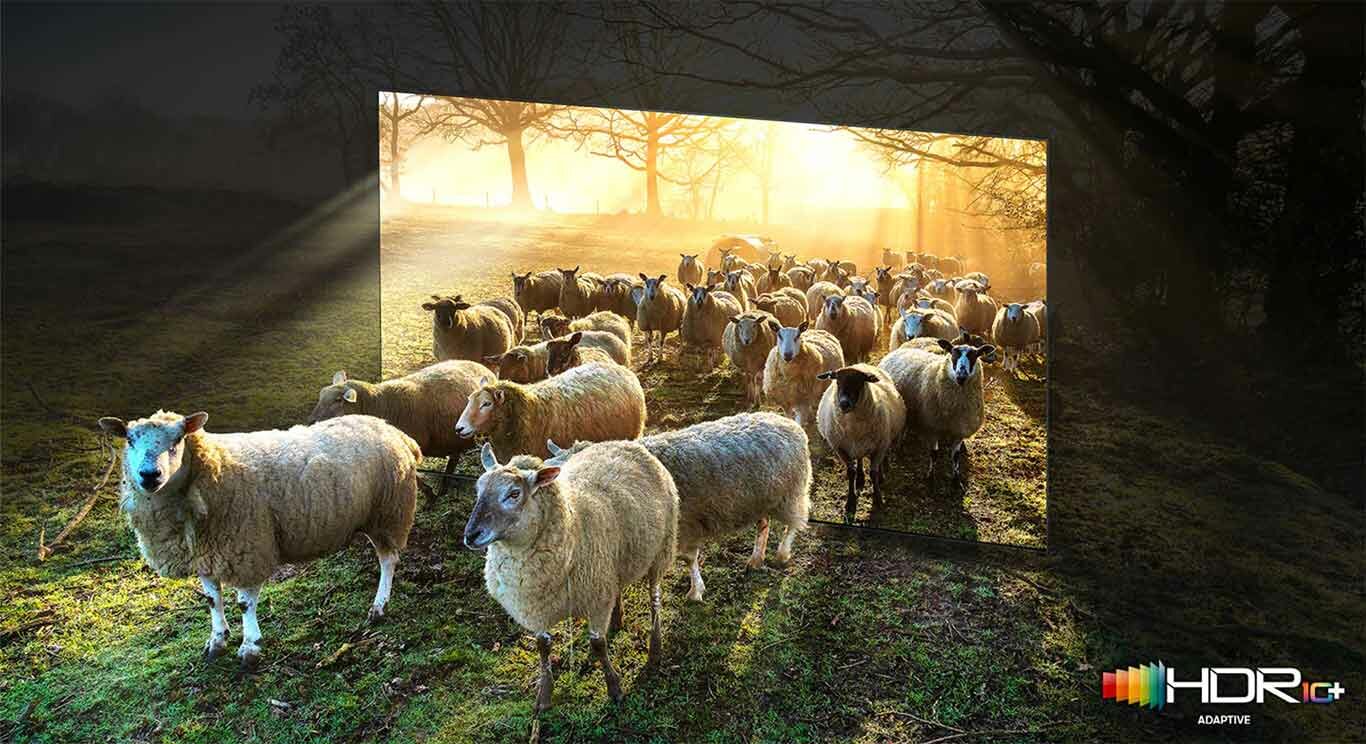 hdr qn95a samsung neo qled