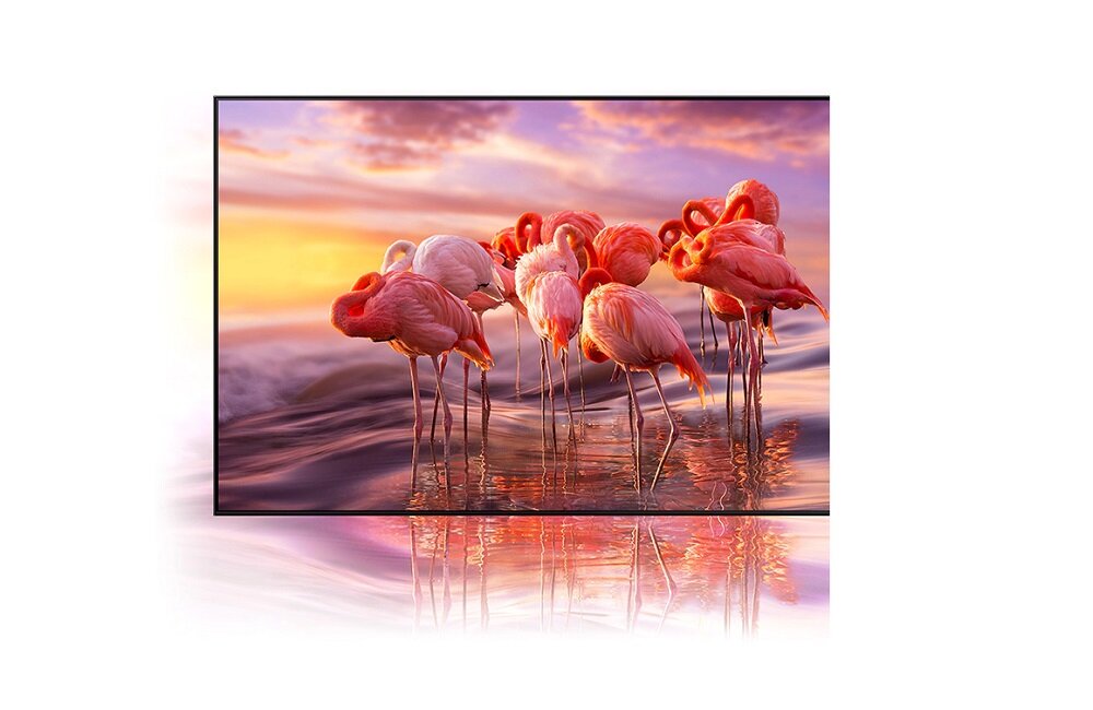 SAMSUNG LED TV QE55QN85A Технологія квантових точок