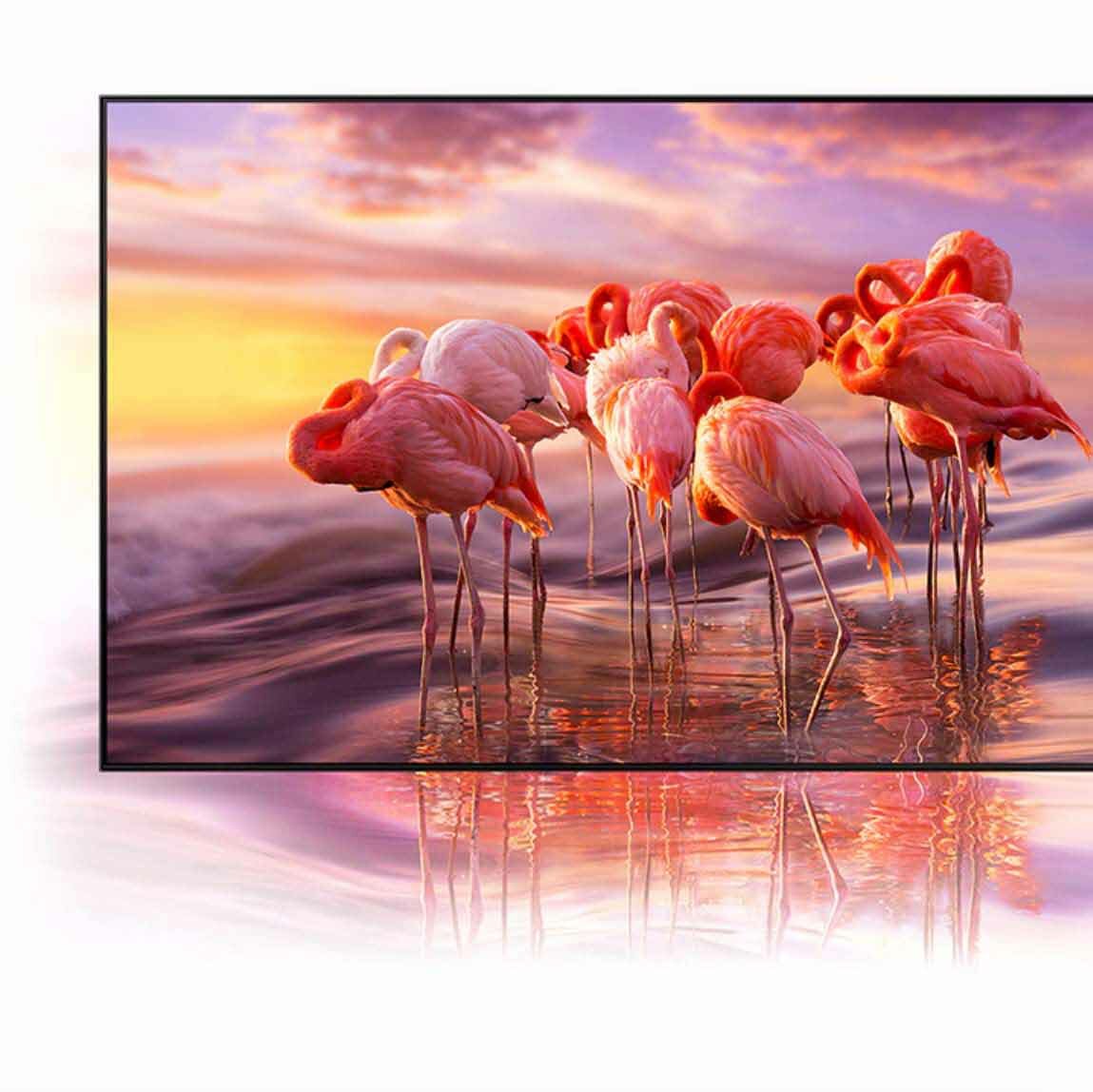 natezenie kolorow qn91a neo qled