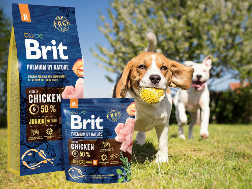 Karma dla psa BRIT Premium By Nature Junior Kurczak 3 kg zdrowie mobilnosc odpornosc kondycja