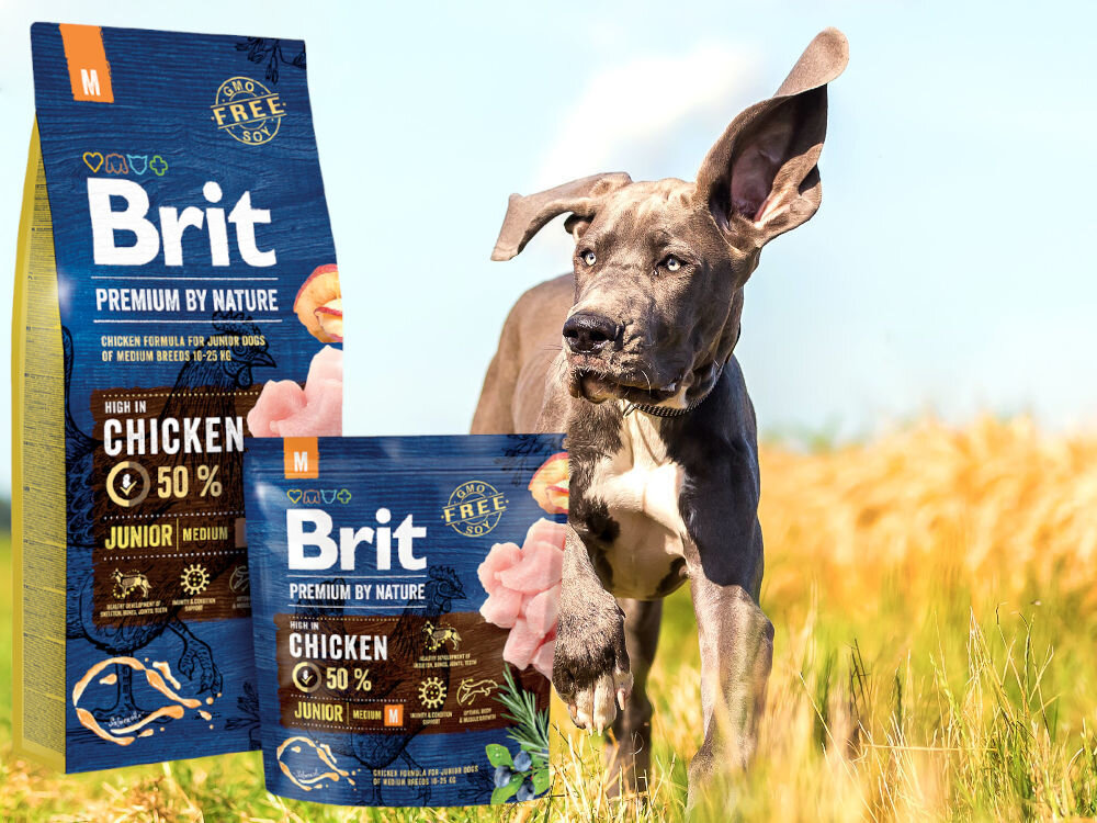 Karma dla psa BRIT Premium By Nature Junior Kurczak 3 kg sklad zywienie