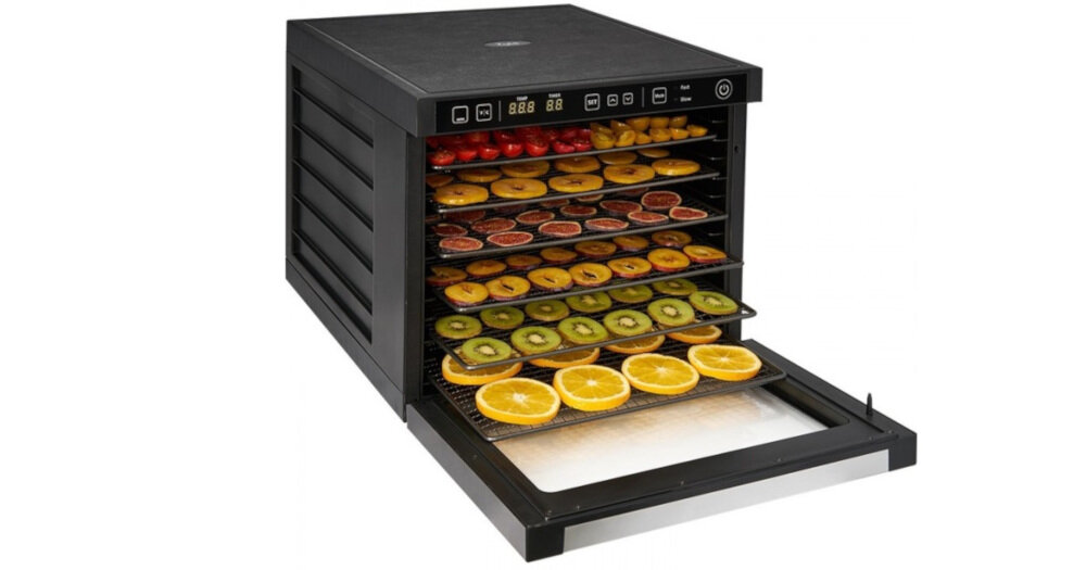 Dehydrator ZYLE Express (typ II) ZY100FD funkcja regulacji temperatury