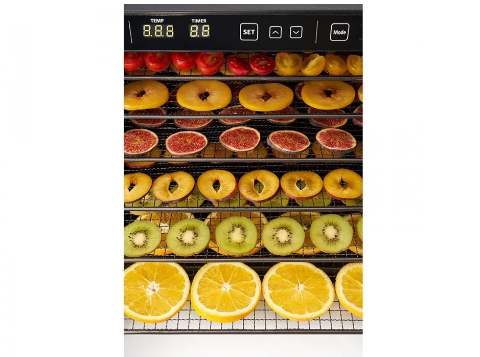 Dehydrator ZYLE Express (typ II) ZY100FD wygoda