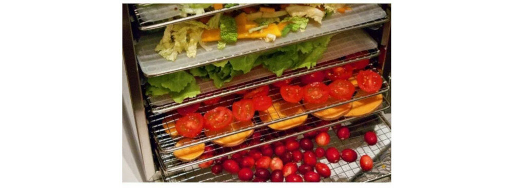 Dehydrator WARTMANN WM-2006 DH domowy pomocnik  