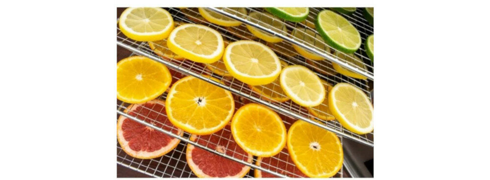 Dehydrator ZYLE Professional Maxi kontrola temperatury