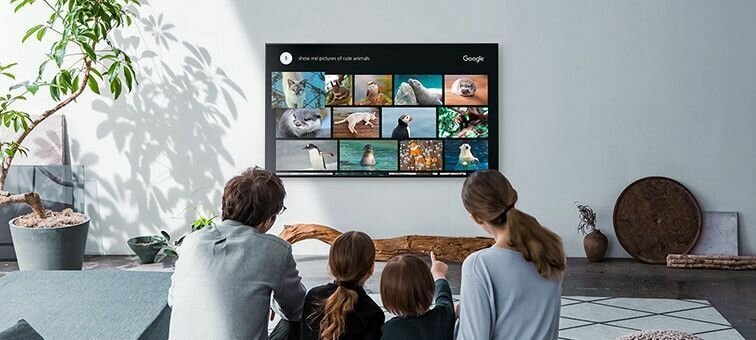 Telewizor SONY LED KE-XH8196BAEP  - Smart TV