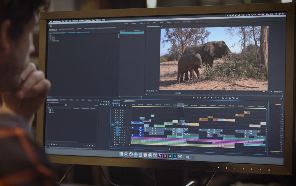 Monitor EIZO ColorEdge CS2740-BK parametry rozdzielczość przekątna matryca kąty widzenia zastosowanie przeznaczenie