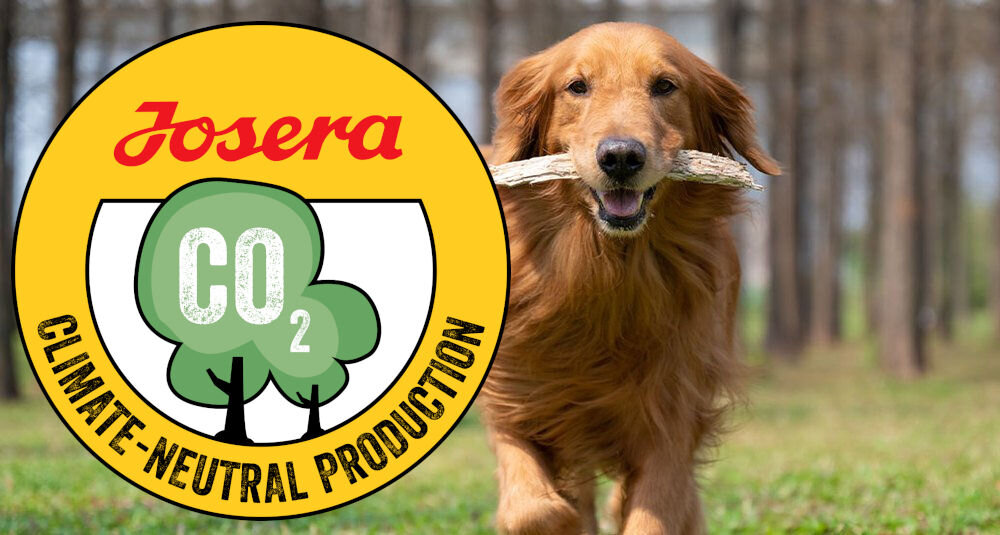Karma dla psa JOSERA Balance Drób 900g naturalne składniki wielkość krokietów