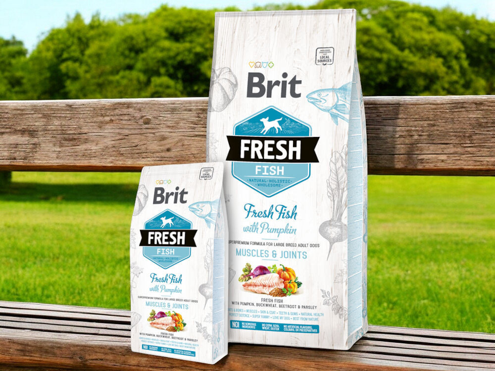 Karma dla psa BRIT Fresh Puppy&Junior Large Fish & Pumpkin Ryba z dynią 2,5 kg
