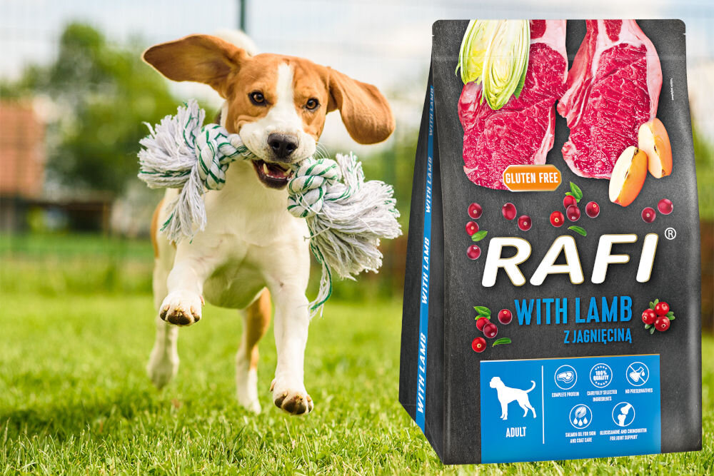 Karma dla psa RAFI Jagnięcina 10 kg naturalne składniki wielkość krokietów
