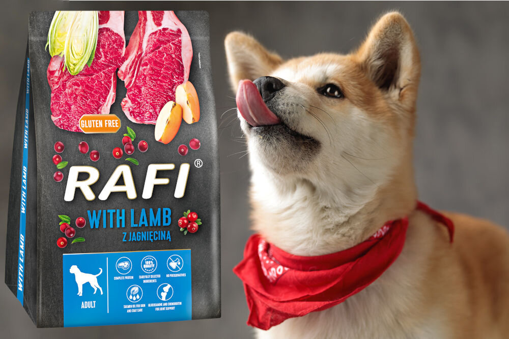 Karma dla psa RAFI Jagnięcina 10 kg dawkowanie analiza sklad