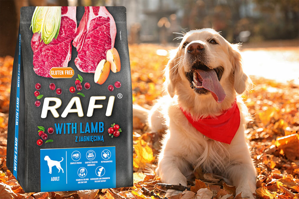Karma dla psa RAFI Jagnięcina 10 kg dawkowanie analiza sklad