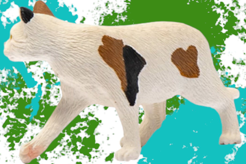 Figurka Kot Amerykański Krótkowłosy SCHLEICH 13894 koń wyobraźnia zabawa figurka