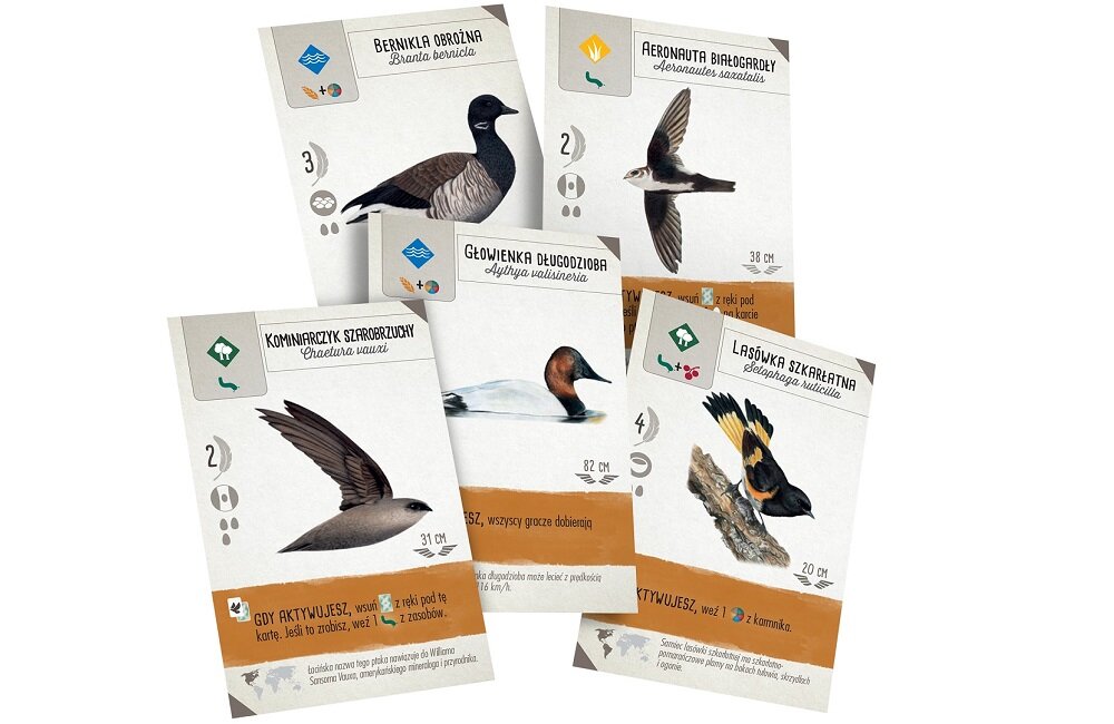 Gra planszowa REBEL Na skrzydłach Szybki start 2000592 Wprowadź trochę nowości do swojej gry planszowej