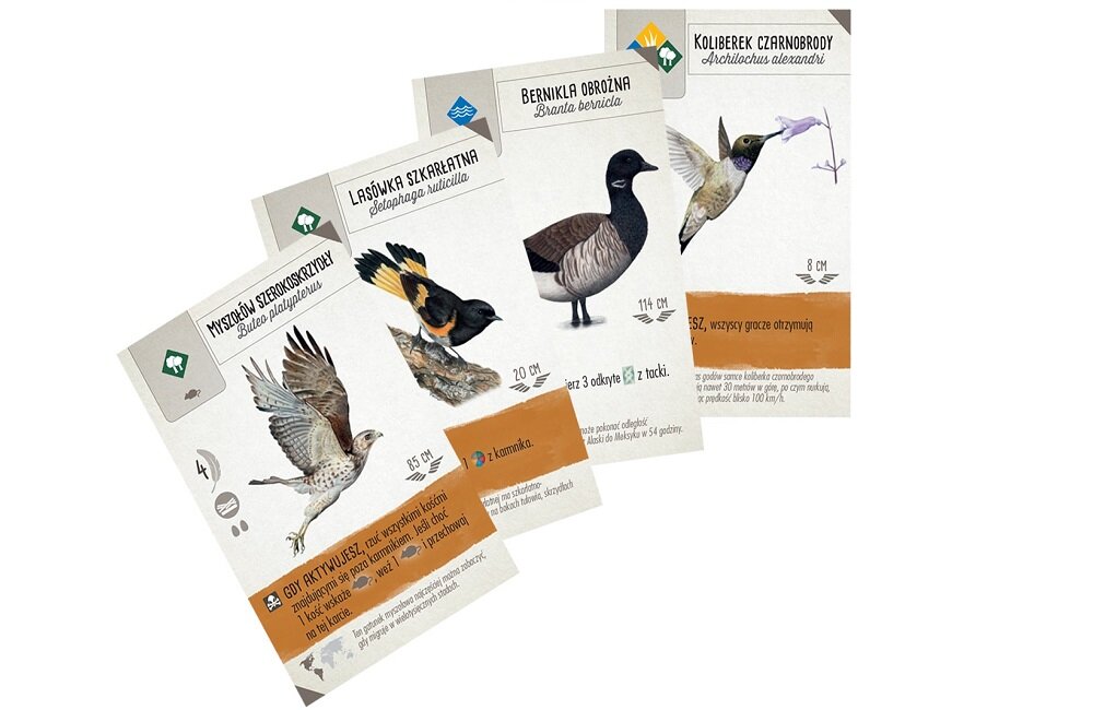 Gra planszowa REBEL Na skrzydłach Szybki start 2000592 zasady