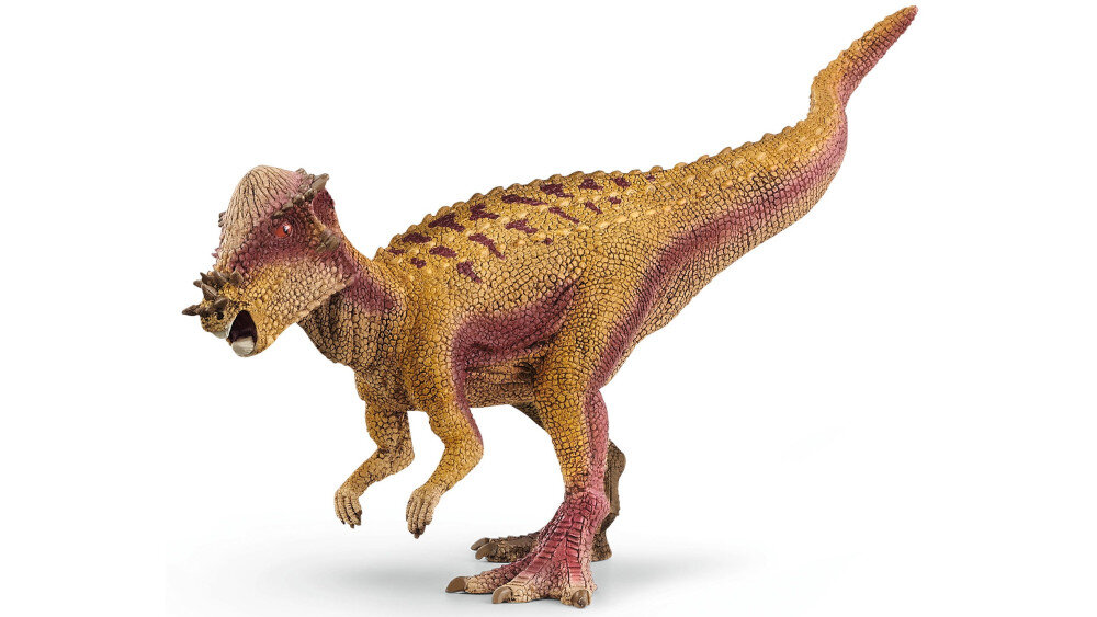 Figurka Pachycefalozaur SCHLEICH - wymiary