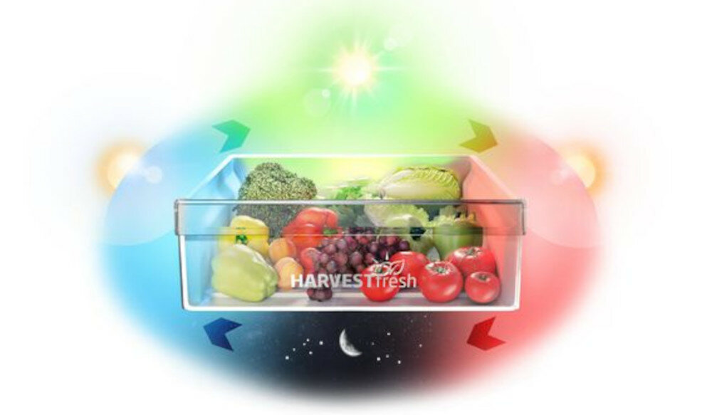 LODÓWKA BEKO RCNT375E40ZXBN HarvestFresh™