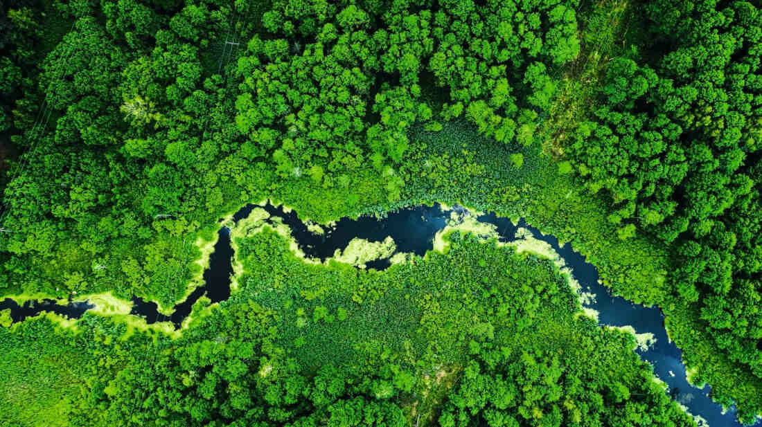 Kapsułki do prania MIELE Caps DownCare WA CDC 0602 L 6 szt. wystarczy na 1 pranie dbalosc o planete przyjazne dla srodowiska