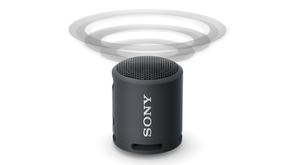 Głośnik mobilny SONY SRS-XB13 - procesor