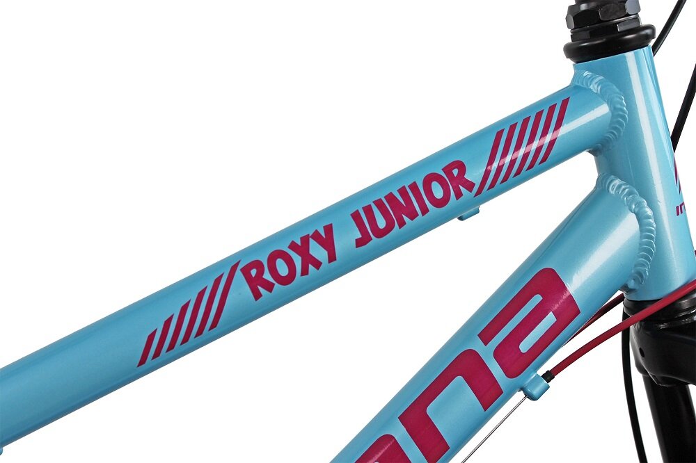 Rower młodzieżowy INDIANA Roxy Jr - Rama