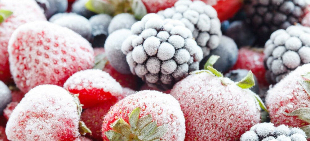 LODÓWKA INDESIT LI8SN2EK bez rozmrażania