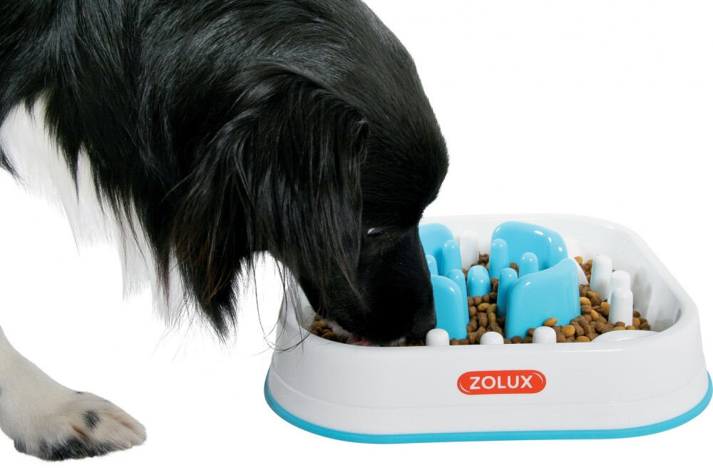 Miska spowalniająca dla psa i kota ZOLUX 474144 Na zdjęciu znajduje się miska spowalniająca dla zwierząt marki ZOLUX, wypełniona suchą karmą, z widocznymi niebieskimi elementami. Obok miski znajduje się pies, który z niej je