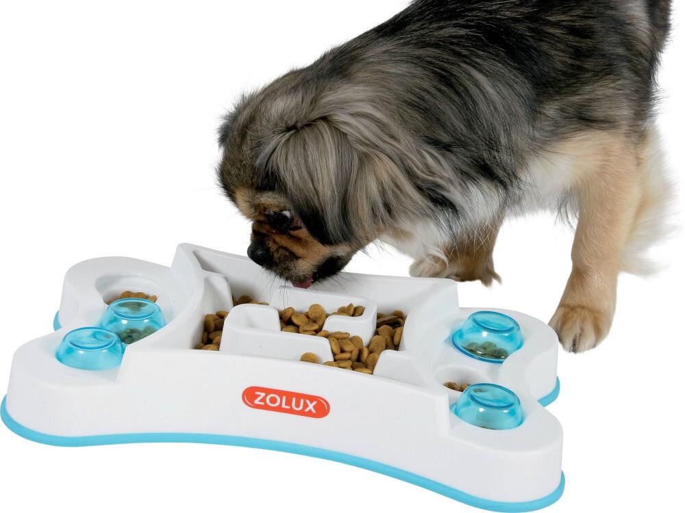 Miska spowalniająca dla psa i kota ZOLUX 474145 Na zdjęciu znajduje się miska spowalniająca dla zwierząt marki ZOLUX, wypełniona suchą karmą, z widocznymi niebieskimi elementami. Obok miski znajduje się pies, który z niej je