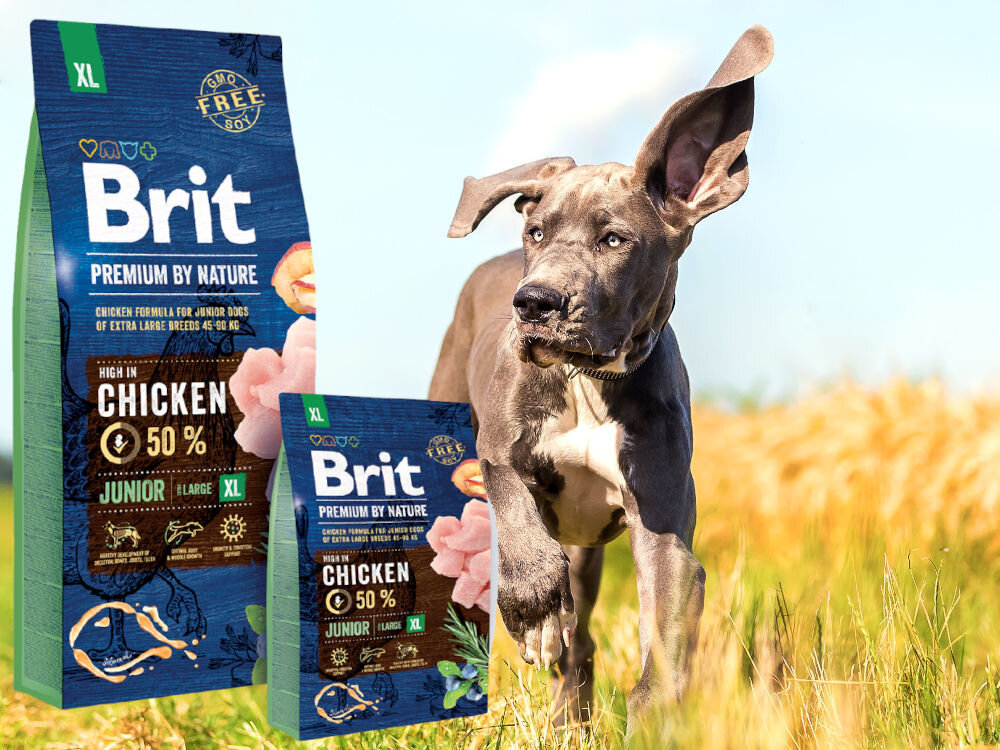 Karma dla psa BRIT Premium By Nature Junior Kurczak 3 kg zdrowie mobilnosc odpornosc kondycja