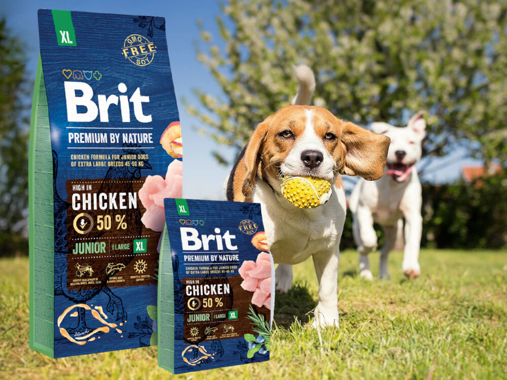 Karma dla psa BRIT Premium By Nature Junior Kurczak 3 kg sklad zywienie