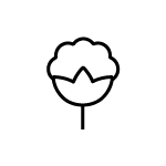 ubrania z bawełny ubrania z bawełny