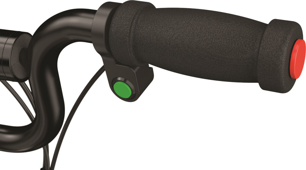 RAZOR E-Punk Czarny Pojazd elektryczny - niskie ceny i opinie w Media ...