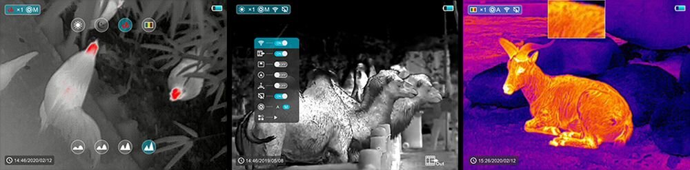 Monokular termowizyjny INFIRA  obraz rozdzielczość kolory detekcja zasięg zasilanie waga wymiary akumulator bateria ładowanie zasilanie łączność obudowa odporność ekran wyświetlanie pamięć nagrywanie zdjęcia obiektyw pojemność termowizja poczerwień 