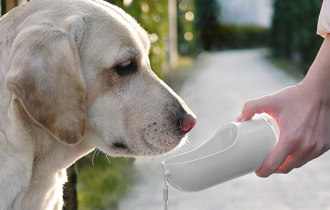 Legowisko dla kota PETKIT Cozy Biały