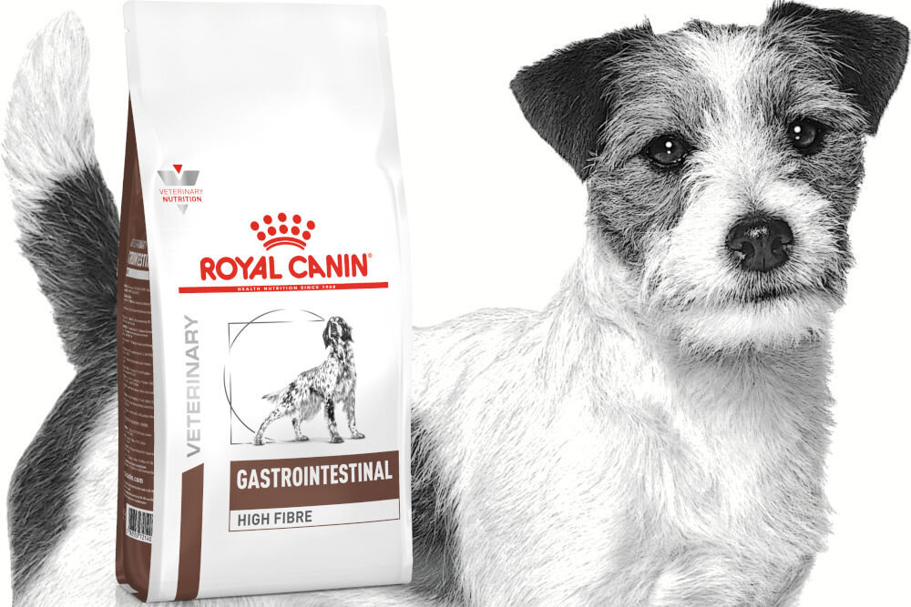 Karma dla psa ROYAL CANIN Gastrointestinal High Fibre 2 kg naturalne składniki