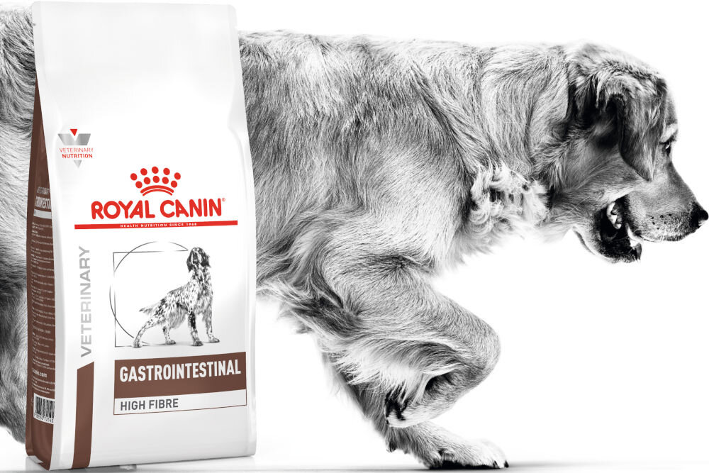 Karma dla psa ROYAL CANIN Gastrointestinal High Fibre 2 kg dawkowanie analiza sklad