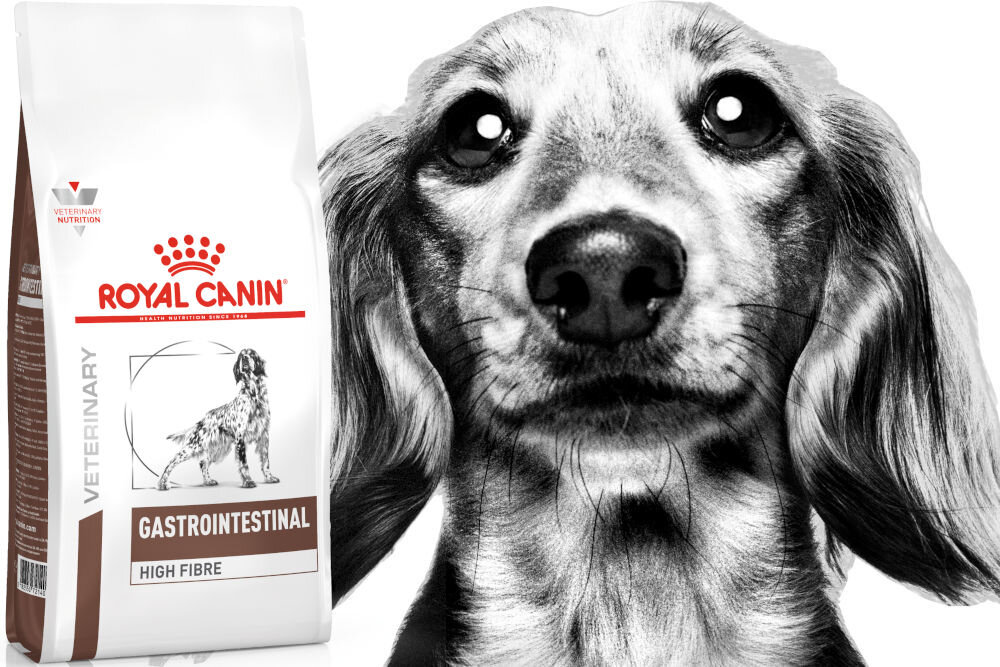 Karma dla psa ROYAL CANIN Gastrointestinal High Fibre 2 kg witaminy pierwiastki aminokwasy