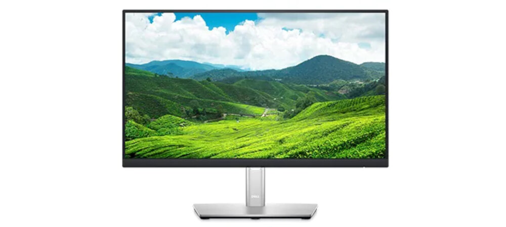 Monitor DELL P2222H 22 system zarządzania kablami filtr światła niebieskiego redukcja migotania