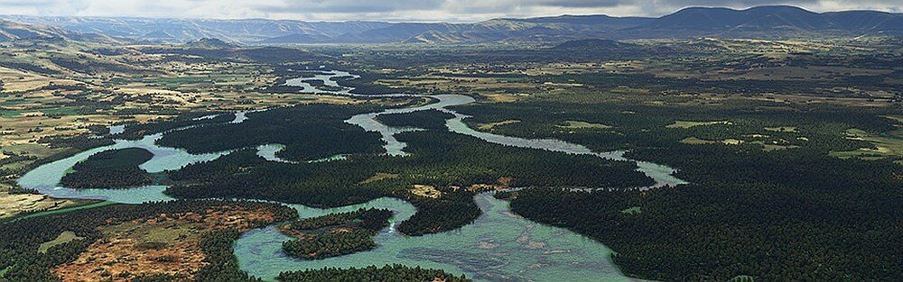 Microsoft Flight Simulator Gra konsola komputer granie symulator samoloty lotniska mapa świat