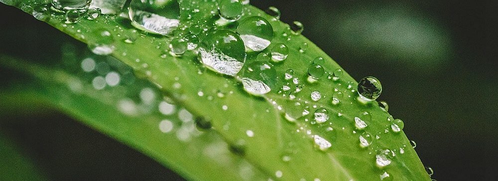 Obiektyw ULANZI WL-2 aparat makro szeroki kąt adapter fotografia ogniskowa odległość ostrość 