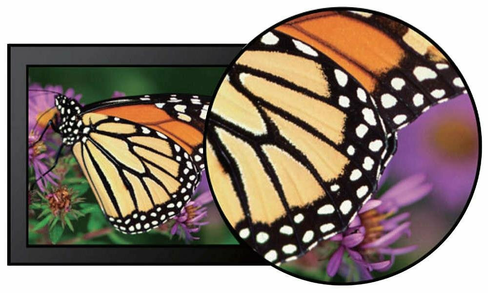 P-Line 439P1 MOTYL