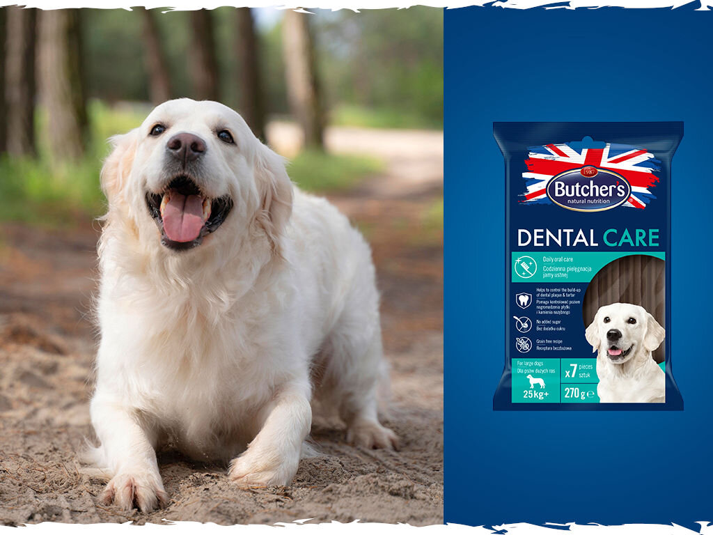 Przysmak dla psa BUTCHER'S Dental Care Large 270 g  pies grafika cztery