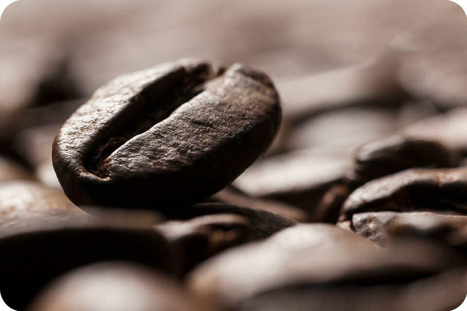 Zdjęcie makro ziarenka kawy