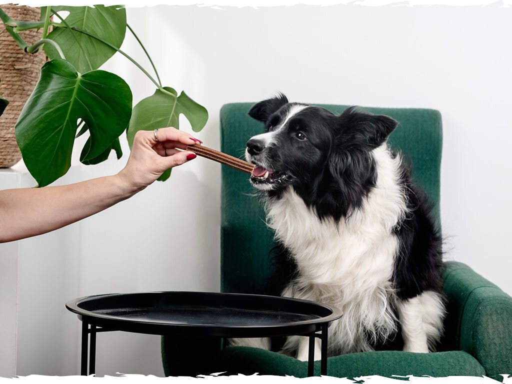 Przysmak dla psa BUTCHER'S Dental Care Medium 180 g butchers Dental pies grafika cztery