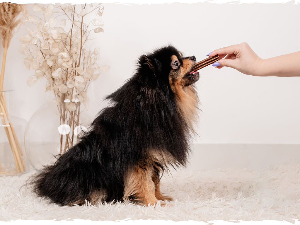 Przysmak dla psa BUTCHER'S Dental Care Small 110 g butchers Dental pies grafika cztery