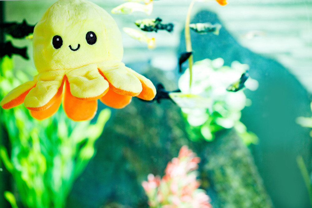 zabawki  wyglad ogolny