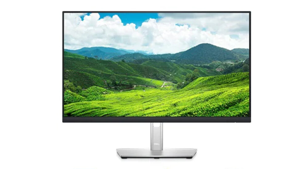 Monitor DELL P2422HE 24 1920x1080px IPS matowa powłoka matrycy