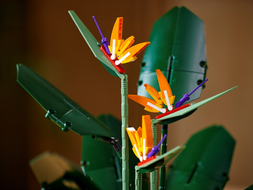 LEGO Creator Strelicja królewska 10289 wysokość około 46 cm szerokość blisko 13 cm imponująca ozdoba instrukcja obsługi w języku polskim