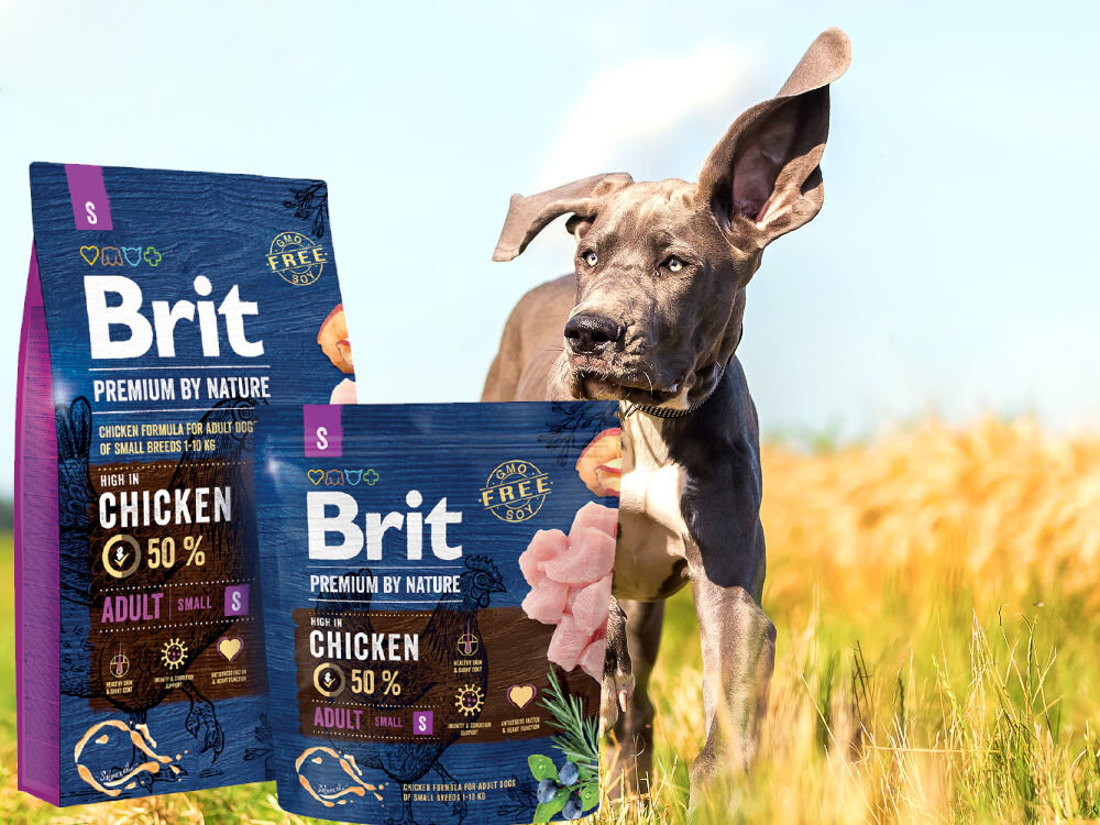 Karma dla psa BRIT Premium by Nature Kurczak 3 kg dodatki analiza