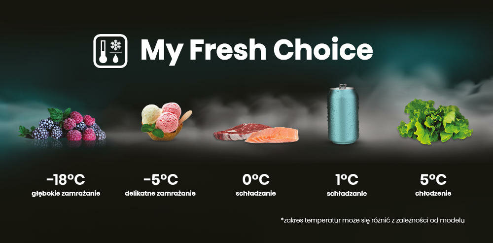 HISENSE komora komora lodówka potrzeby zakres regulacja temperatura głębokie mrożenie