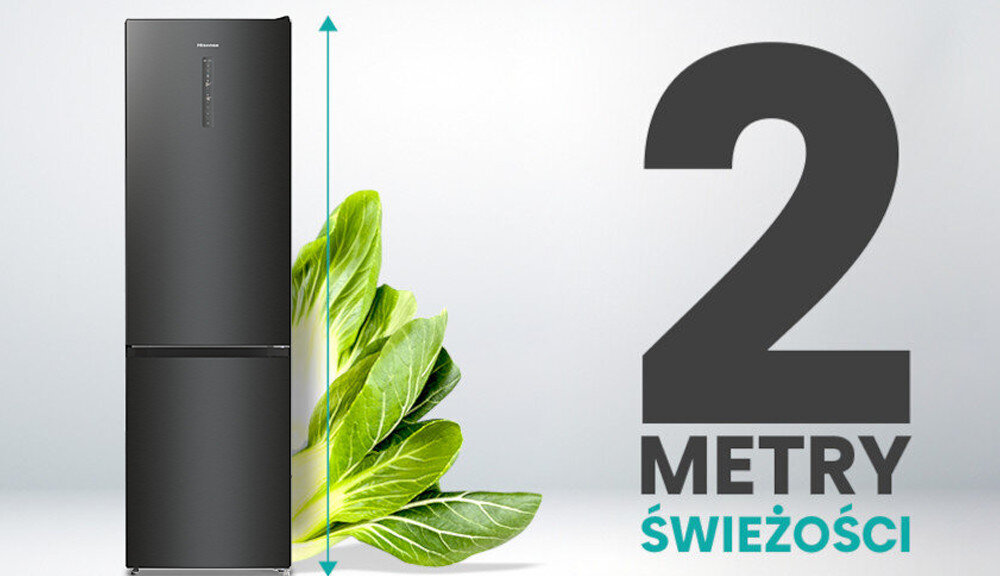 LODÓWKA HISENSE RB470N4BFD 2 metry świeżość